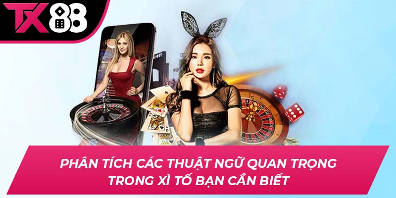 Phân tích các thuật ngữ quan trọng trong Xì Tố bạn cần biết