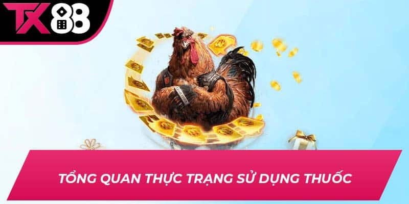 Tổng quan thực trạng sử dụng thuốc