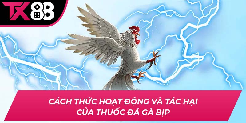 Cách thức hoạt động và tác hại của thuốc đá gà bịp