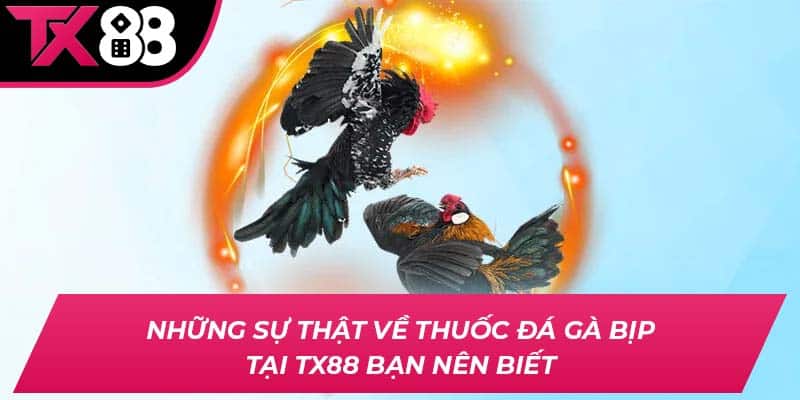 thuoc da ga bip thumb