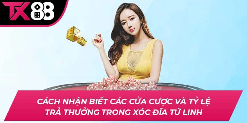 Cách nhận biết các cửa cược và tỷ lệ trả thưởng trong Xóc Đĩa Tứ Linh